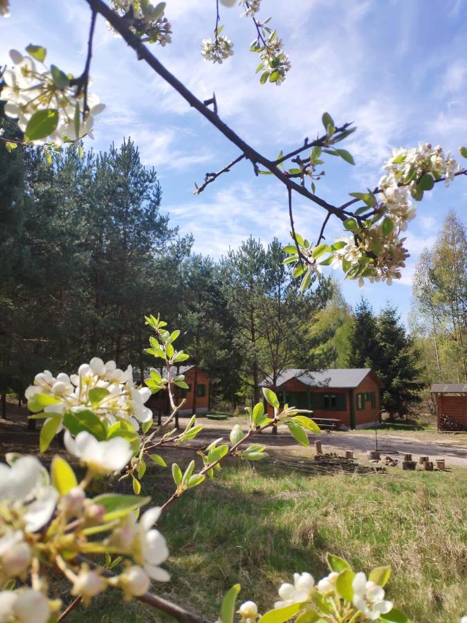 Oaza Ciszy I Spokoju Lodge Miedzychod
