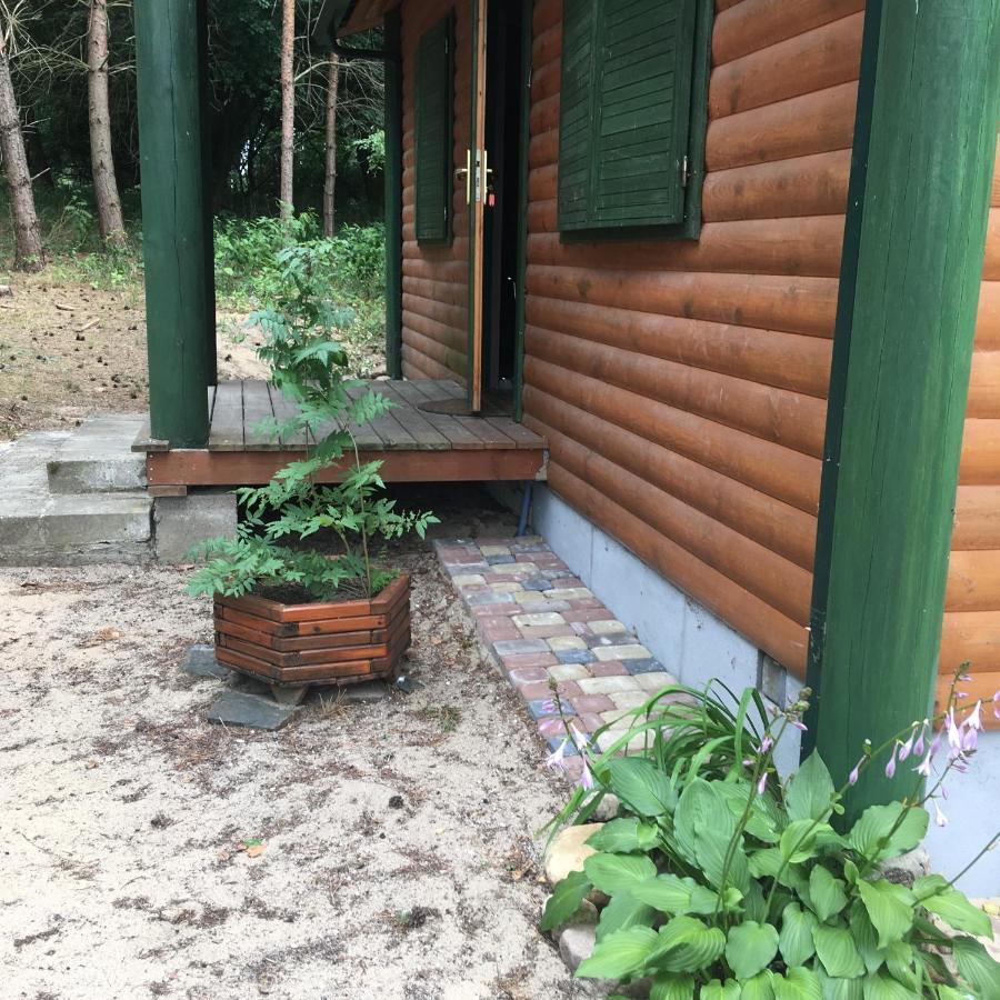 Lodge Oaza Ciszy I Spokoju *