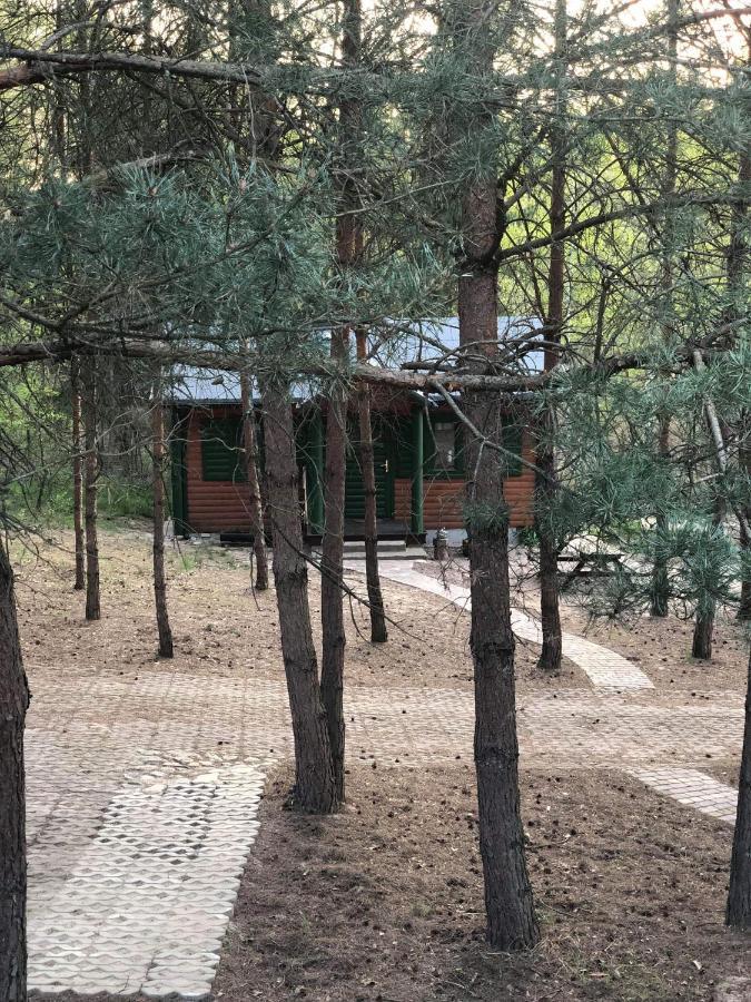 Lodge Oaza Ciszy I Spokoju Miedzychod